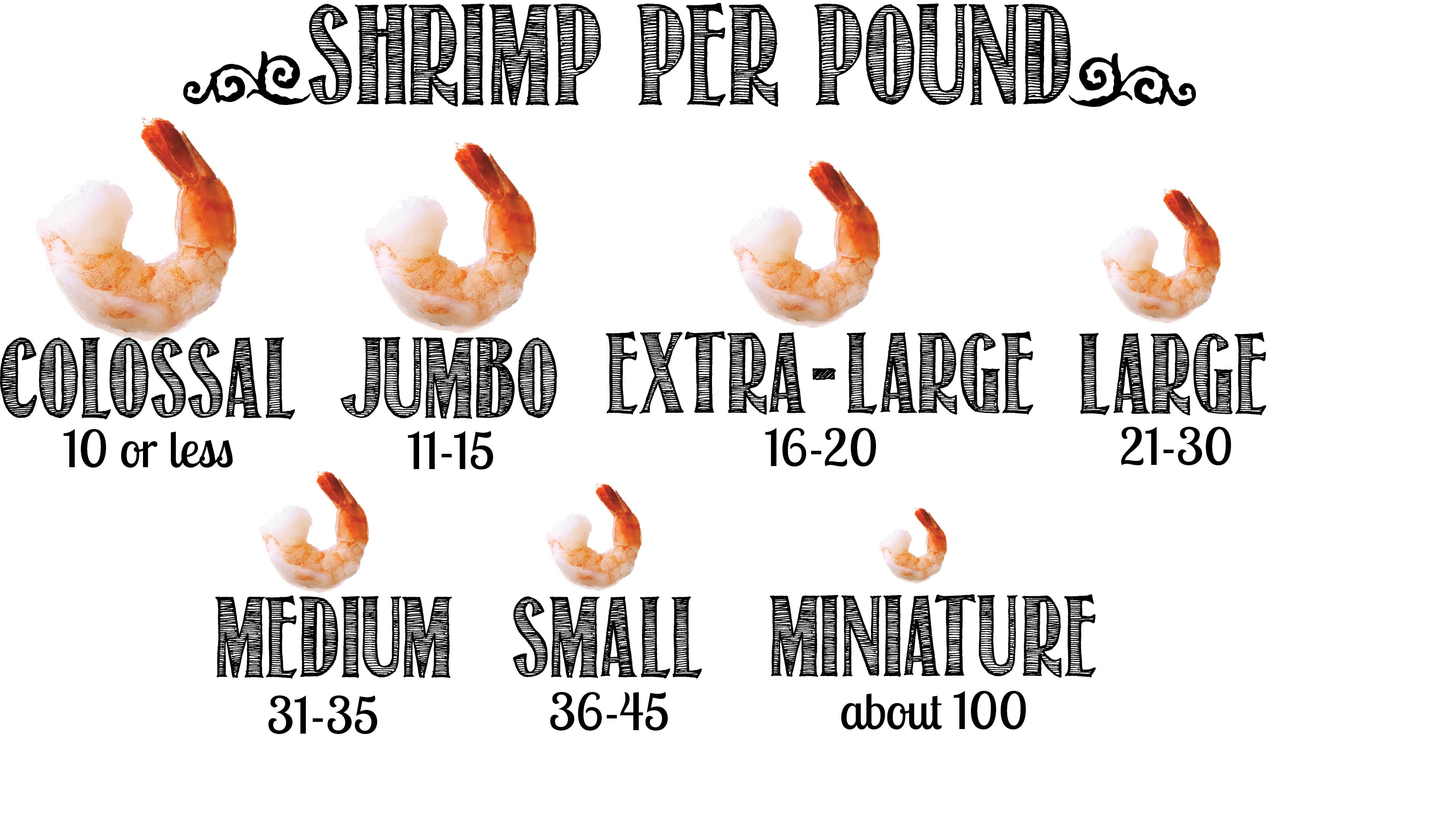 Shrimp sizes infographic Mom s Kitchen Handbook